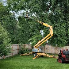Soil Testing and Treatment in Belleville, WI