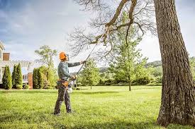 Best Pest Control for Lawns  in Belleville, WI