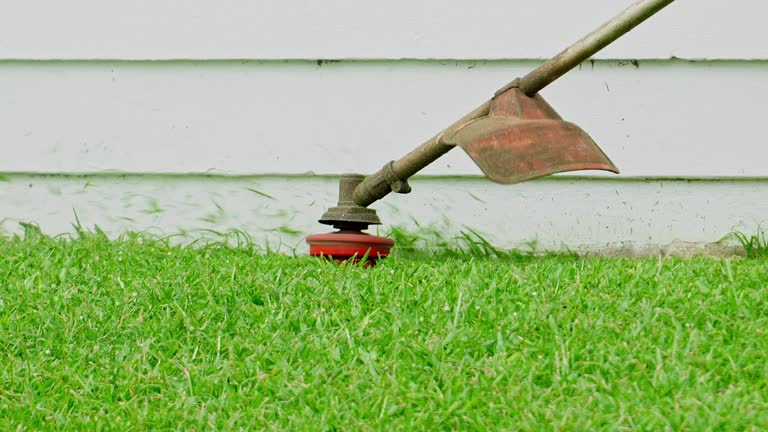Best Seasonal Cleanup (Spring/Fall)  in Belleville, WI